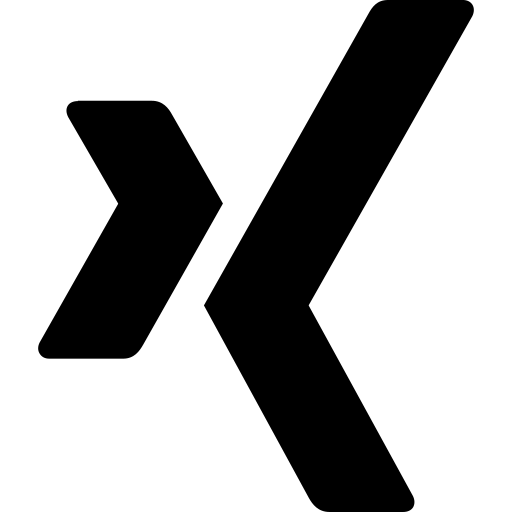 xing logo icon 144723